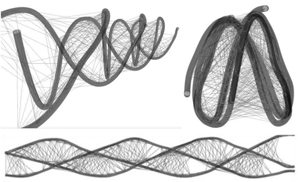Temel Hareketin Parametrik Eğri Araştırması