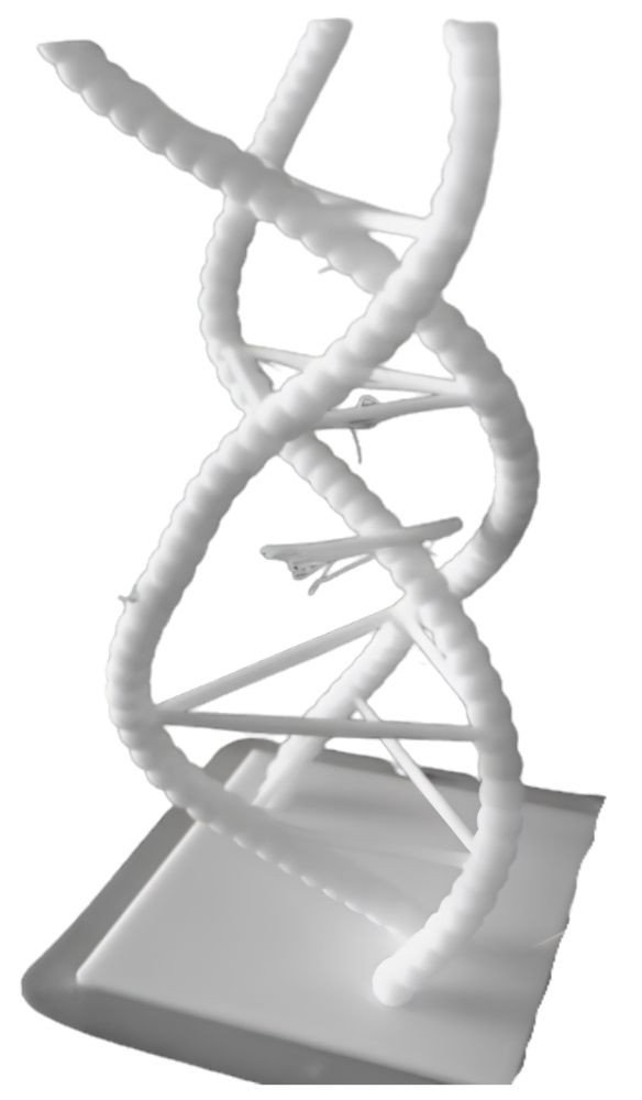 fiziksel model 11