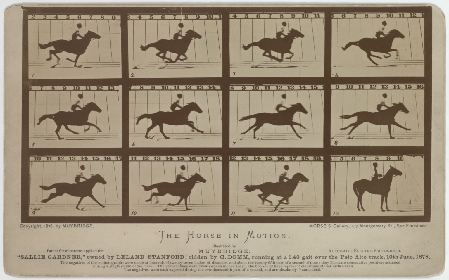 Fotoğraf 10. Muybridge'in Koşan At Fotoğraf Serisi (1878)