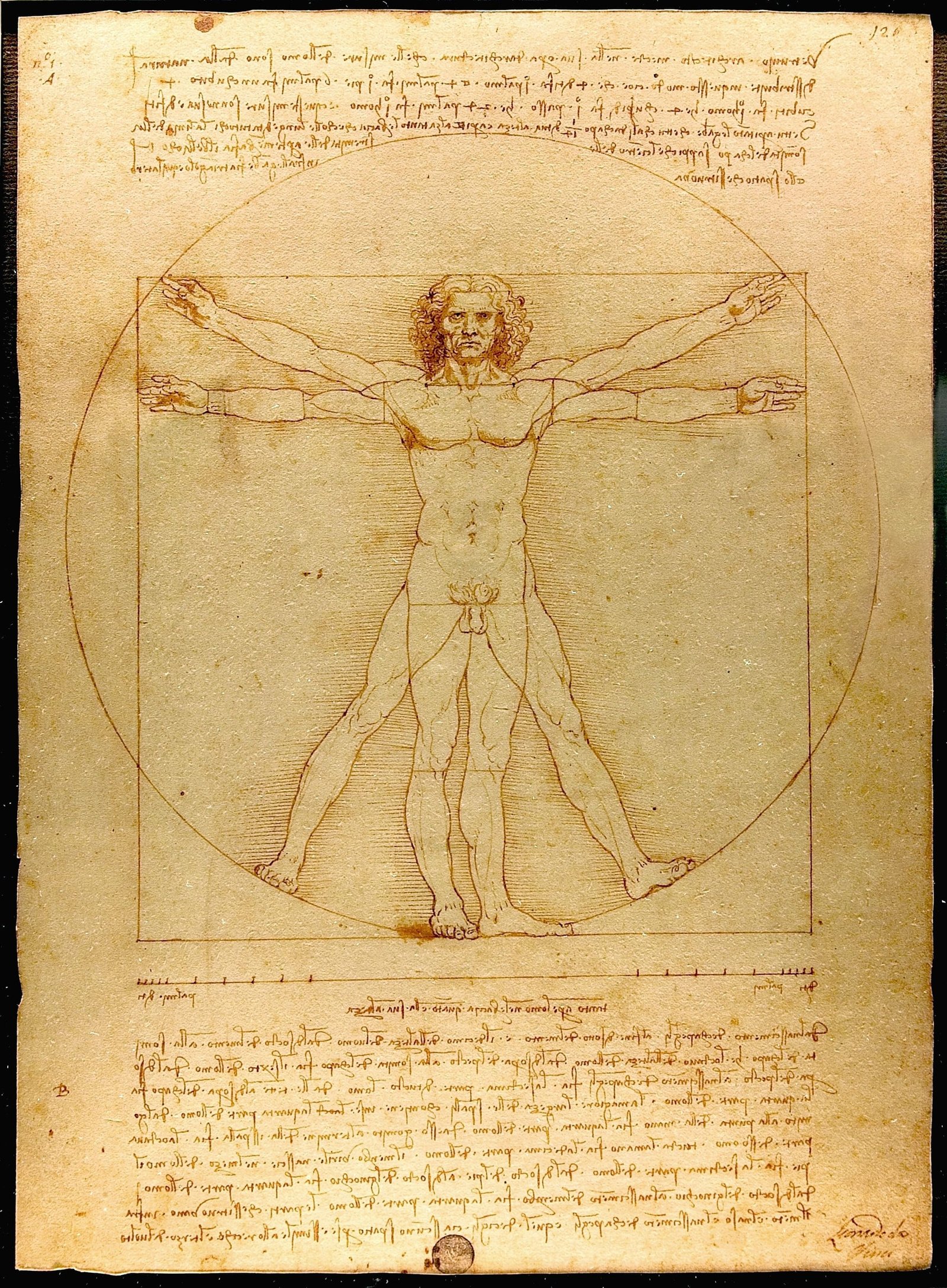 Fotoğraf 9. 'Vitruvian Man' eskizi